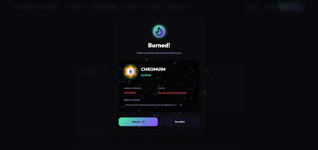 Successful Token Burn On-Chain