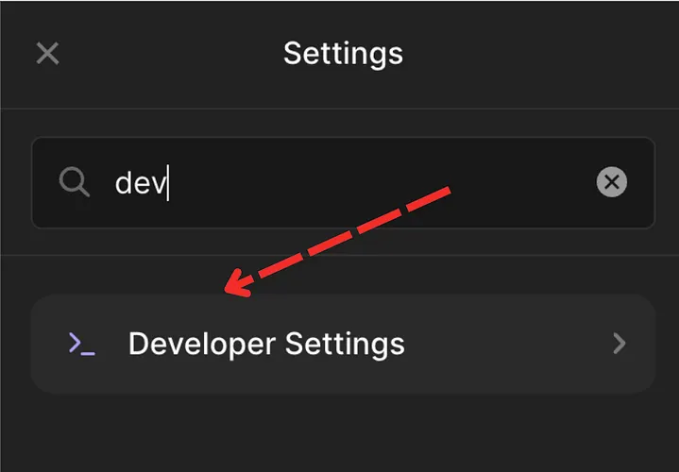 Step 3: Click Developer Settings